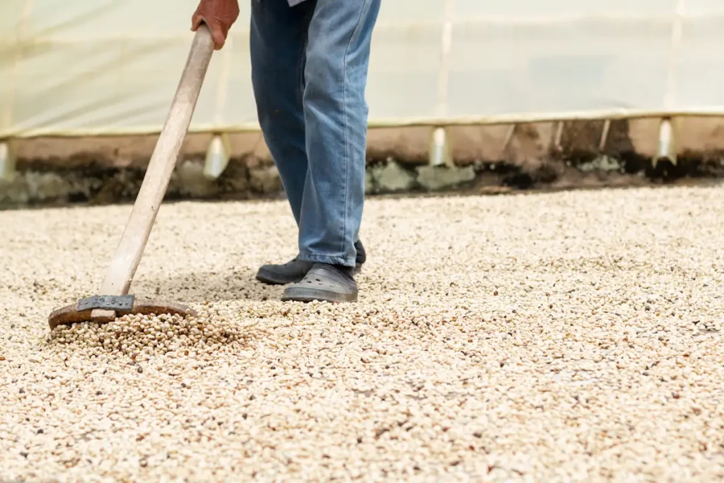 Une personne qui pose du gravier sur une allée de maison